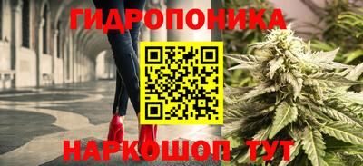 прущие крисы Бузулук