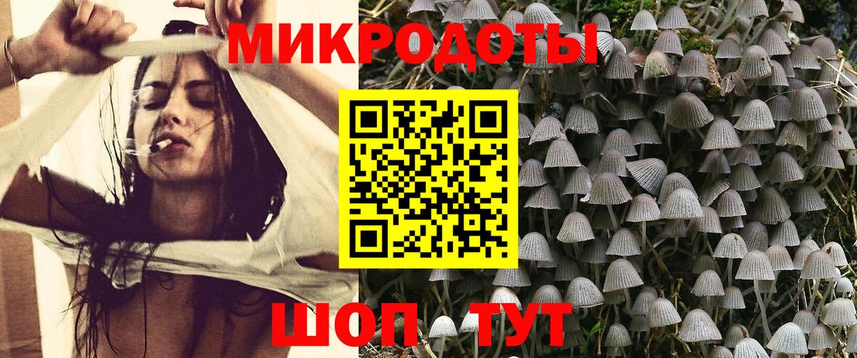 купить наркотики сайты  Вход с VPN  Сорочинск  Псилоцибиновые грибы Cubensis 