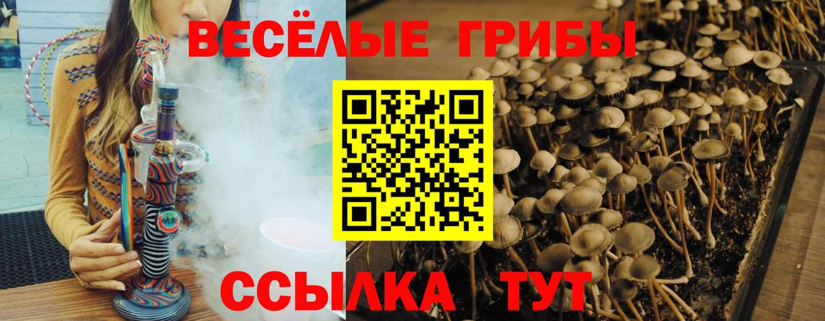 Псилоцибиновые грибы прущие грибы Сорочинск